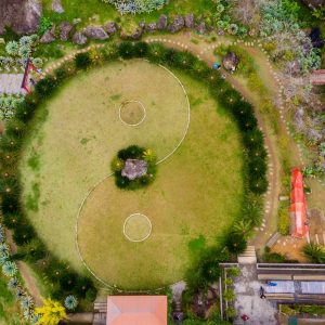 pexels-leomarcal-9441477