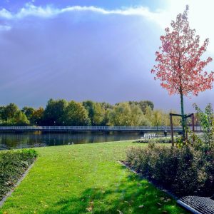 pexels-matthiaszomer-233237